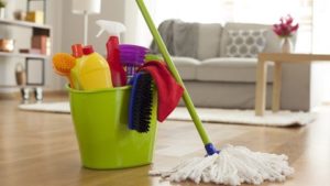 bucket of cleaning equipment | family-routines